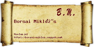 Borsai Miklós névjegykártya